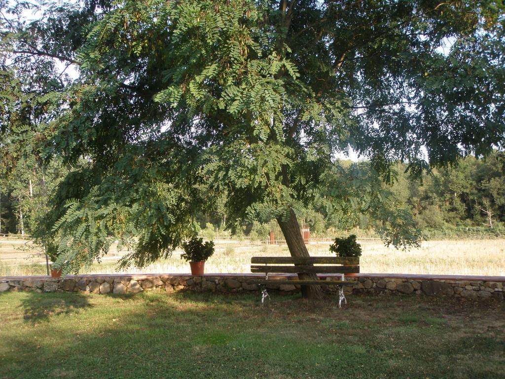 Mas Vilalonga Petit Cassà de la Selva Kültér fotó
